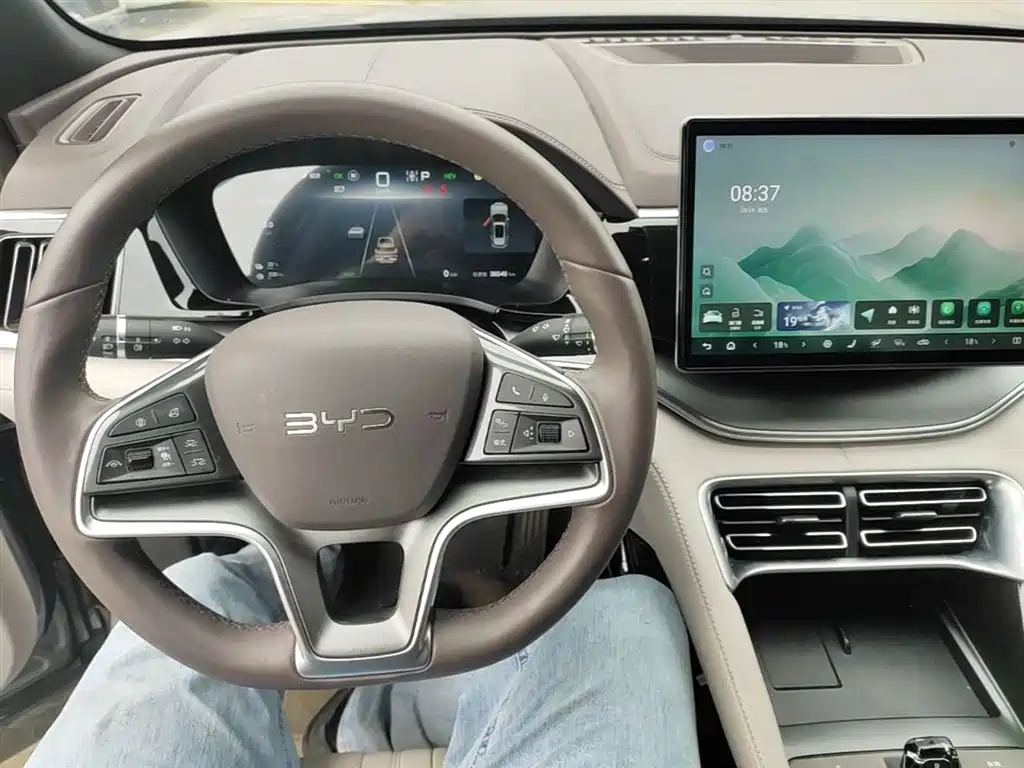 BYD PLUS New Energy 2024 — фото 10