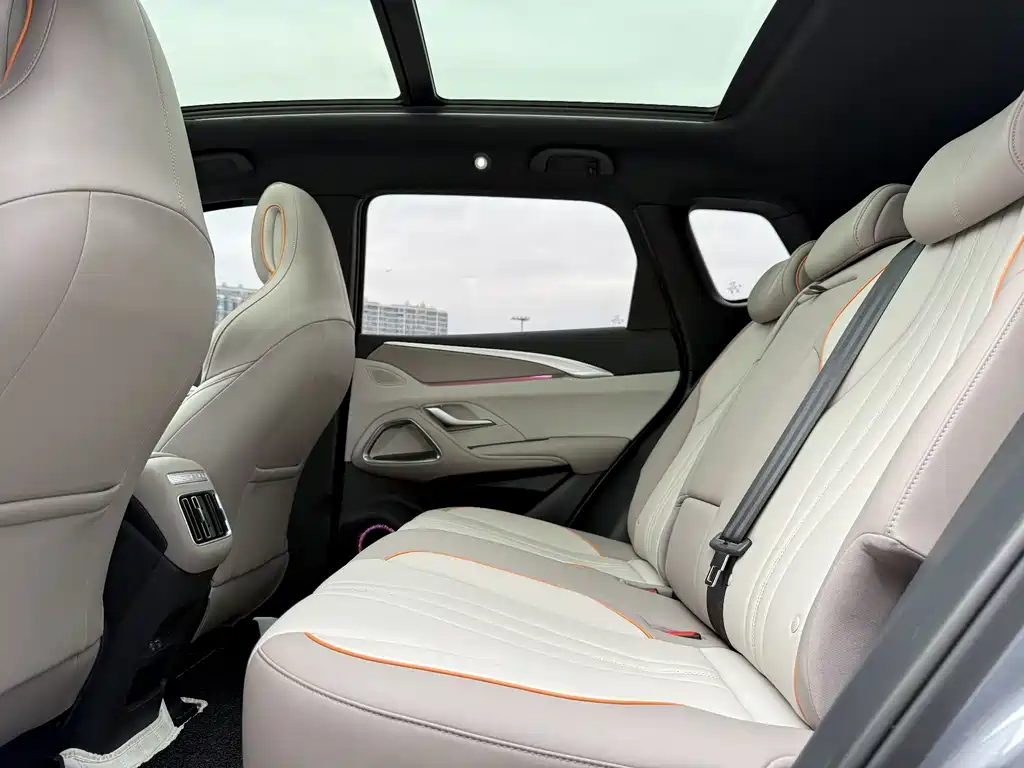 BYD Pro New Energy 2024 — фото 11