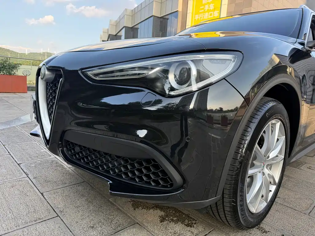 Alfa Romeo Stelvio 2019 — фото 13