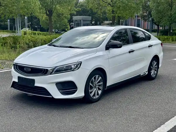 Geely Binrui 2019