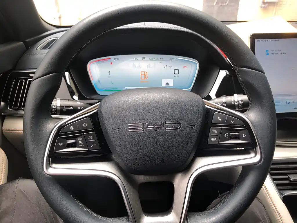 BYD PLUS New Energy 2023 — фото 16