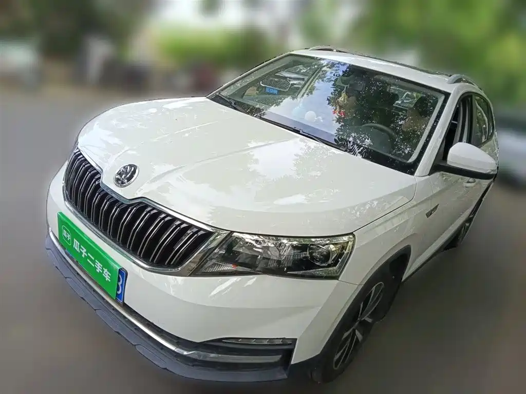Skoda Kamiq 2019 — фото 1
