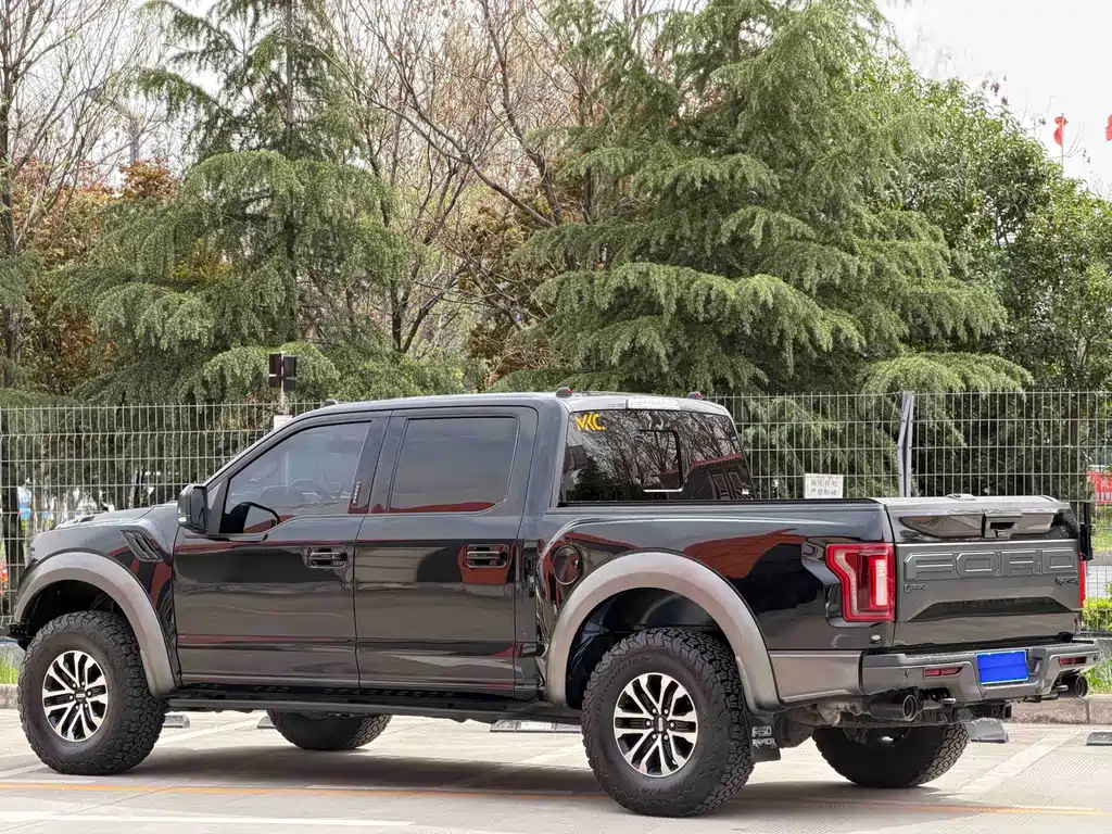 Ford F-150 Raptor 2020 — фото 12