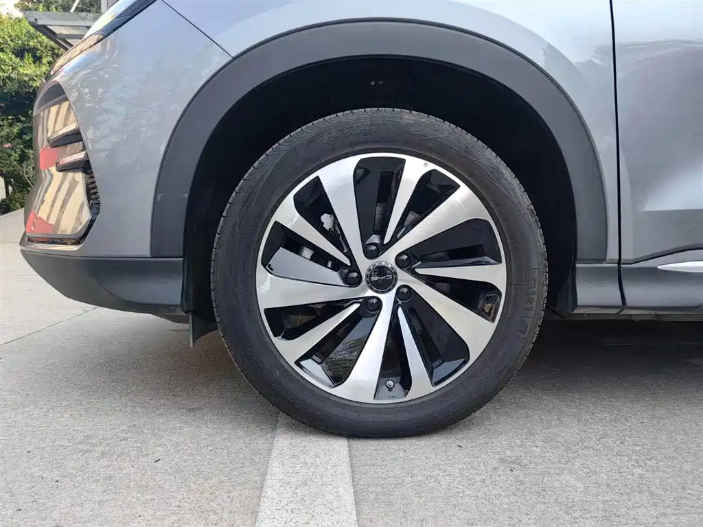 BYD PLUS New Energy 2024 — фото 21