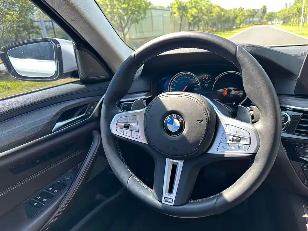 BMW 5 Series 2018 — фото 10