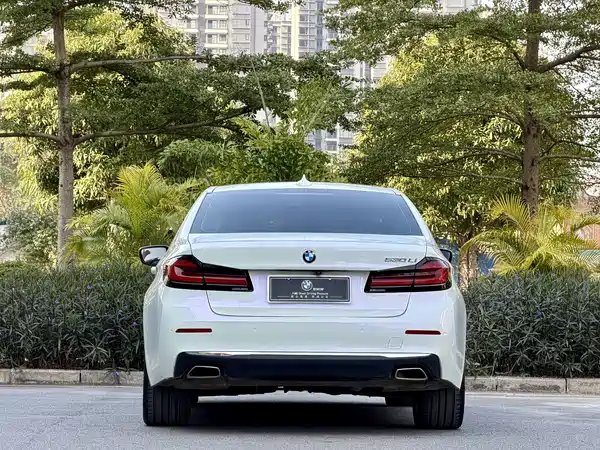 BMW 5 Series 2021