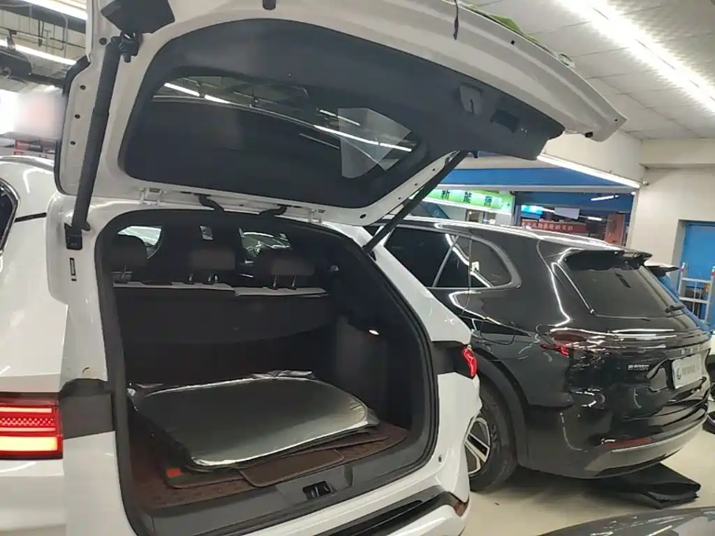 BYD PLUS New Energy 2025 — фото 19