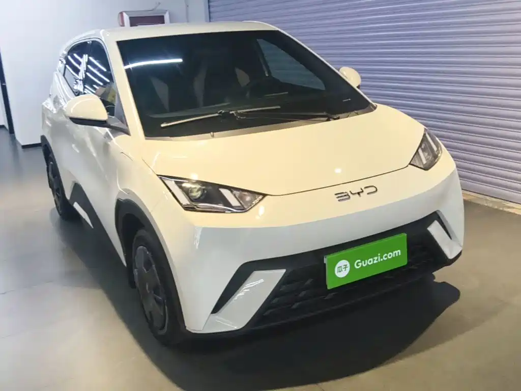 BYD Seagull 2024