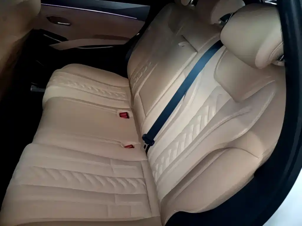 BYD L DM-i 2025 — фото 17