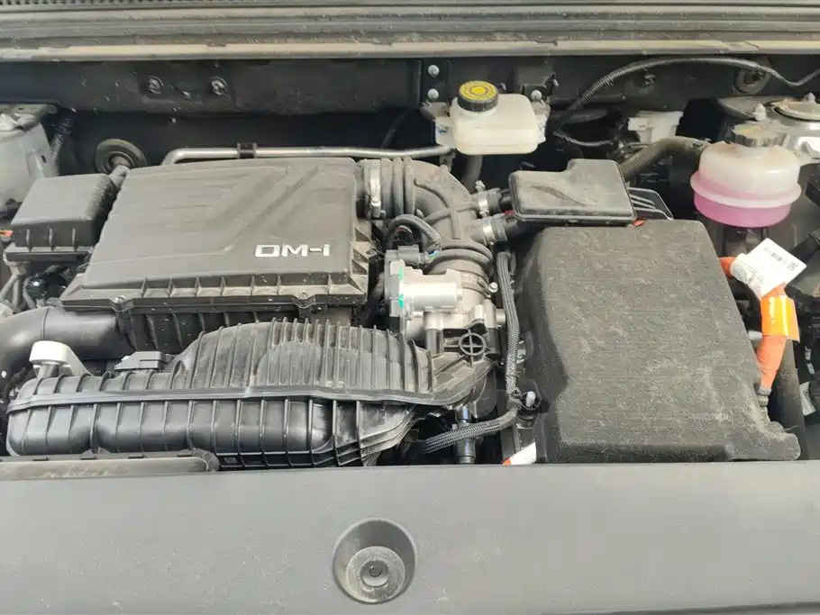 BYD Pro New Energy 2024 — фото 10