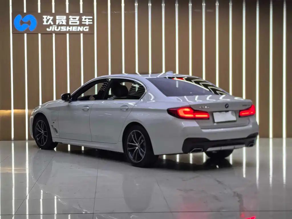 BMW 5 Series New Energy 2021 — фото 19