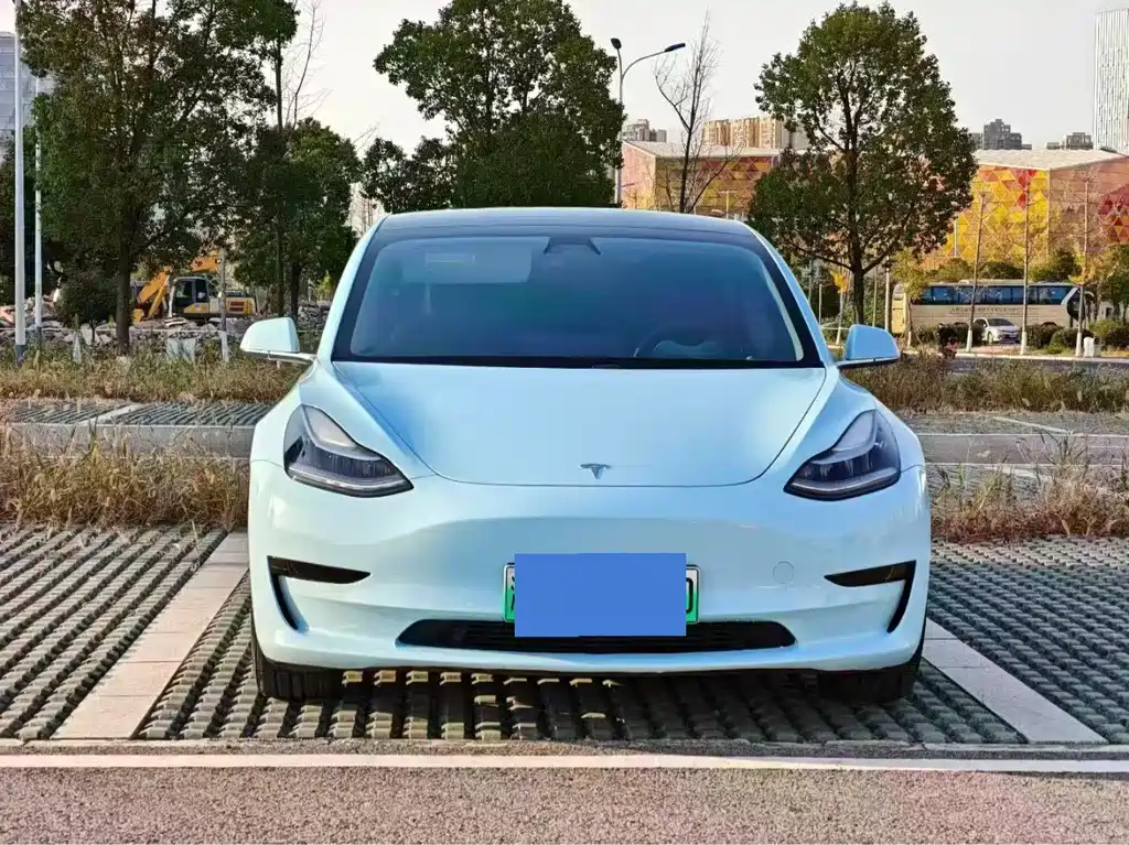 Tesla Model 3 2021 — фото 2