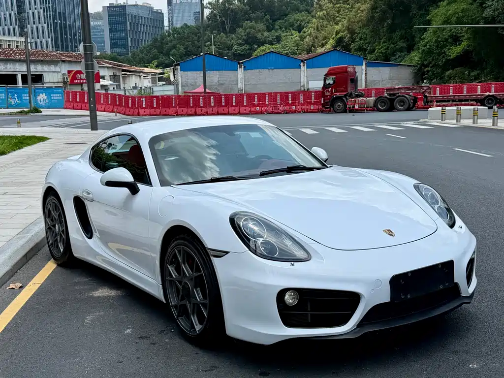 Porsche Cayman 2015 — фото 3
