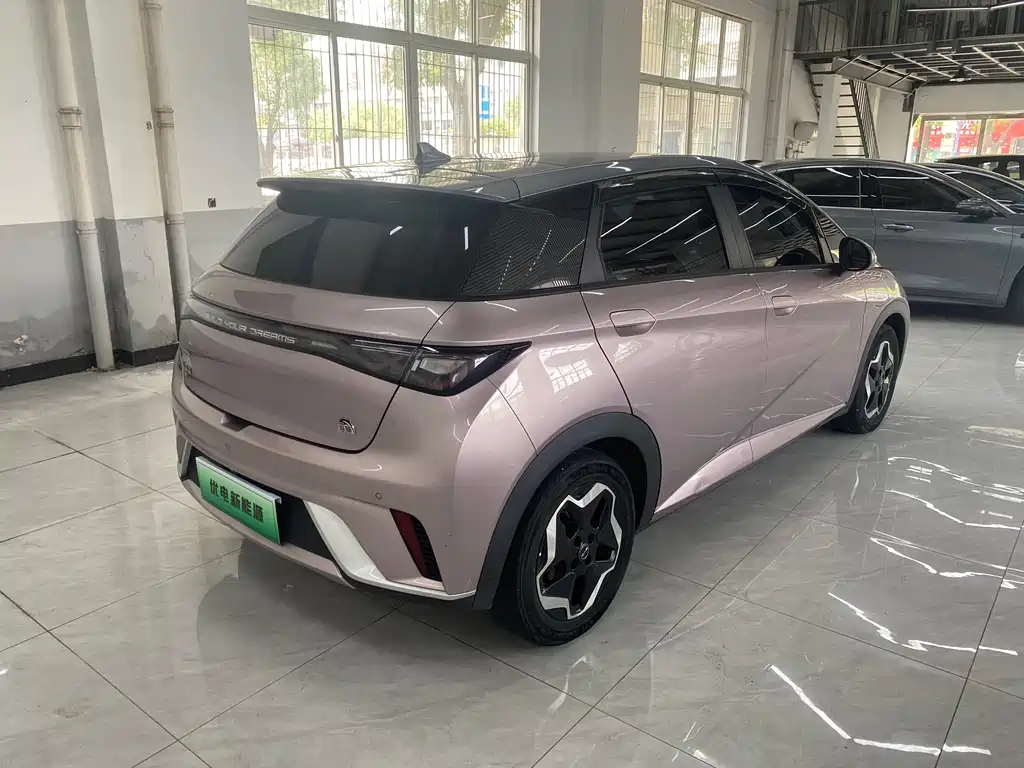 BYD Dolphin 2022
