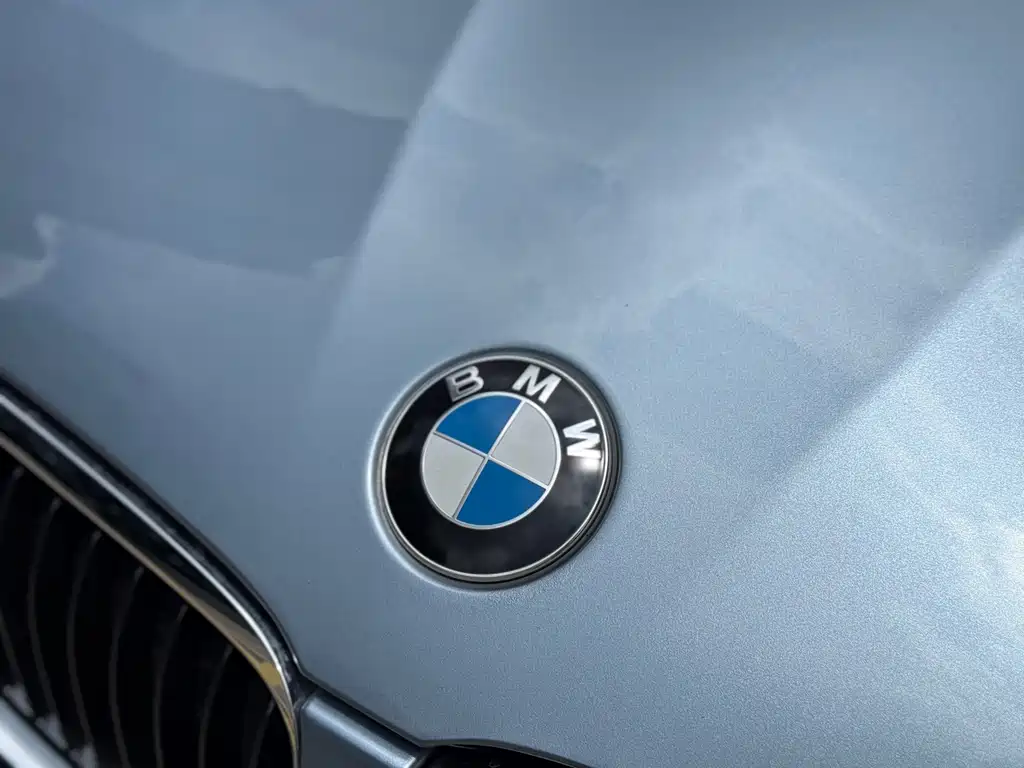 BMW 3 Series 2010 — фото 14