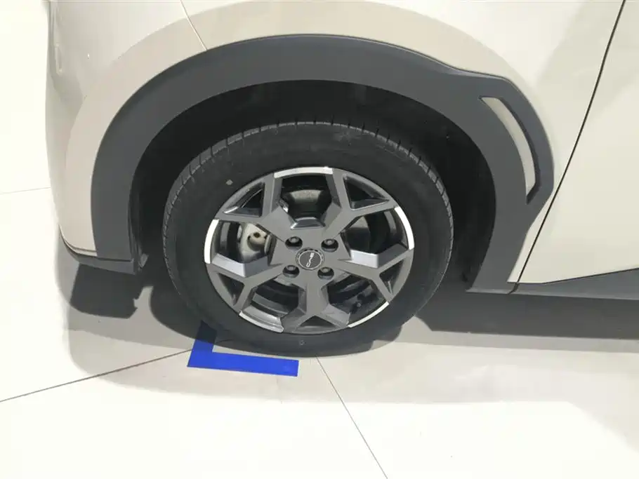 BYD Seagull 2024