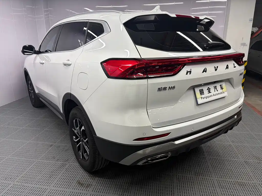 Haval H6 2023 — фото 16