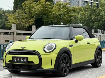 MINI MINI 2022