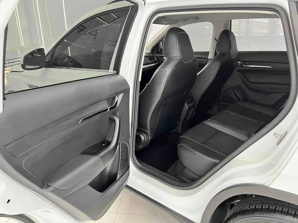 Skoda Kamiq 2024 — фото 13
