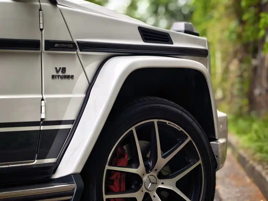 Mercedes-Benz G-Class AMG 2017 — фото 11