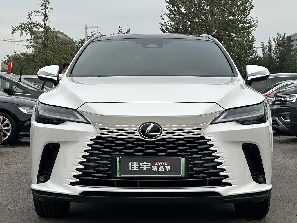 Lexus RX New Energy 2024 — фото 2
