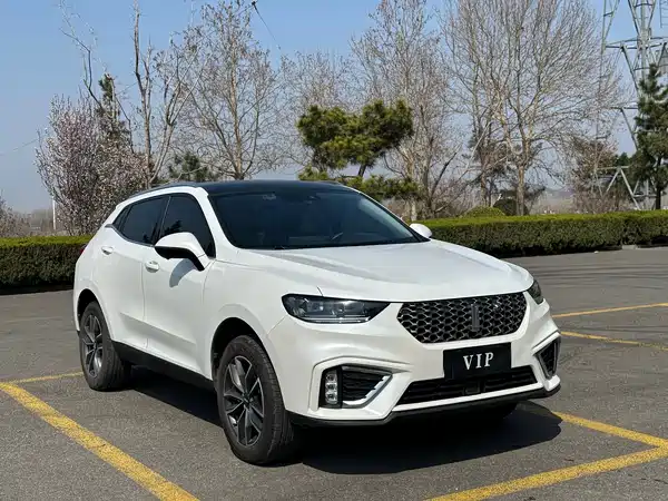 Wey VV5 2021