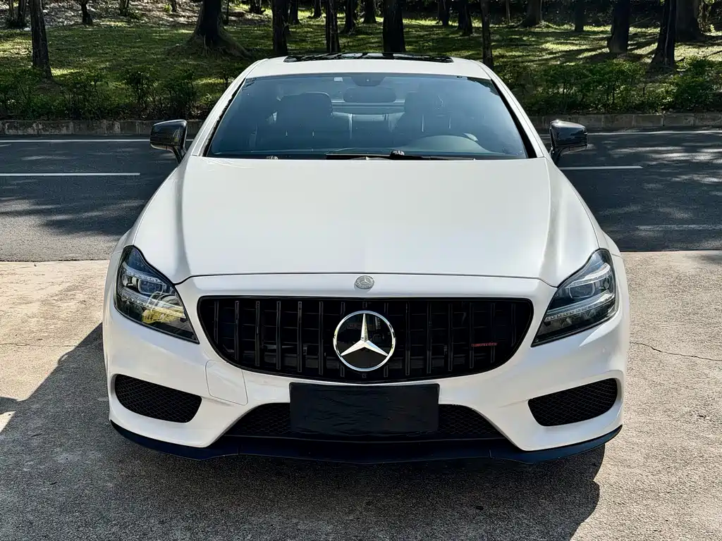Mercedes-Benz CLS 2013 — фото 2