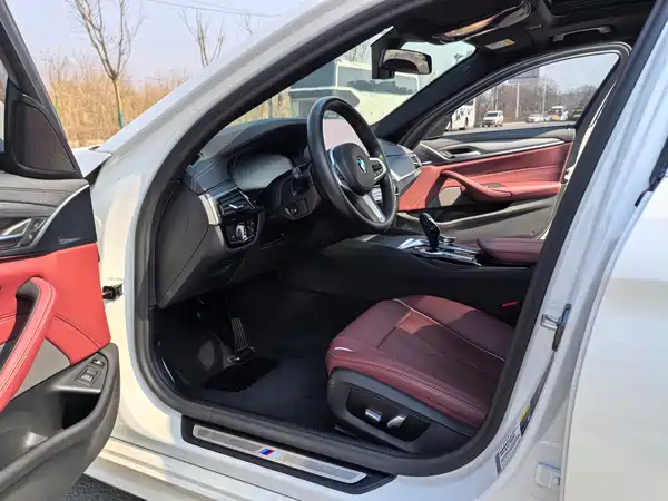 BMW 5 Series New Energy 2021