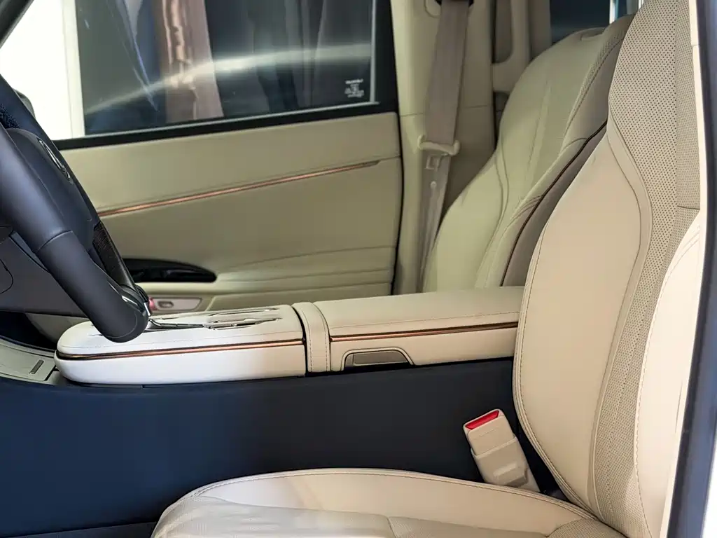 Lexus LM 2025 — фото 16