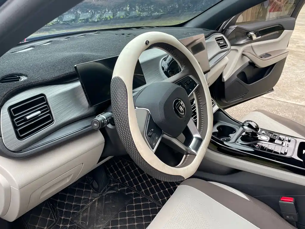 BYD Qin PLUS 2024 — фото 3