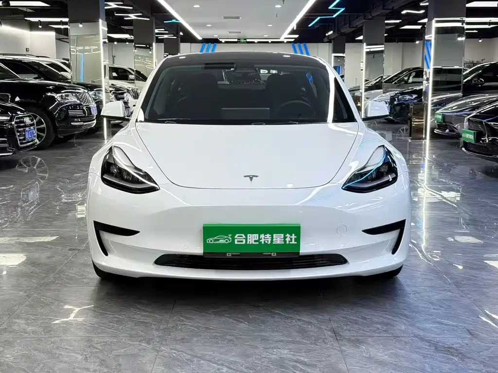 Tesla Model 3 2022 — фото 2