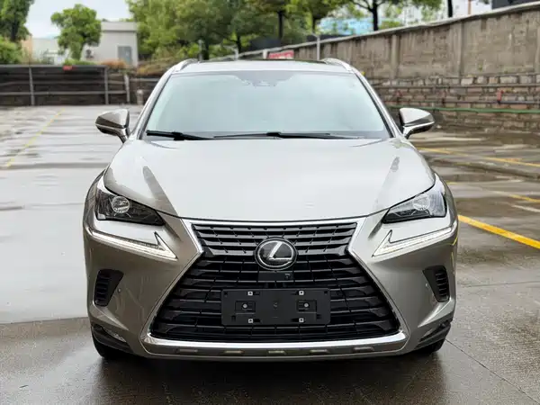 Lexus NX 2021