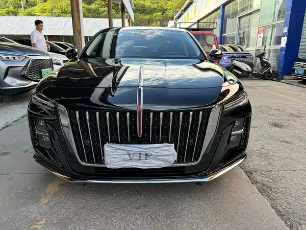 Hongqi H5 2024