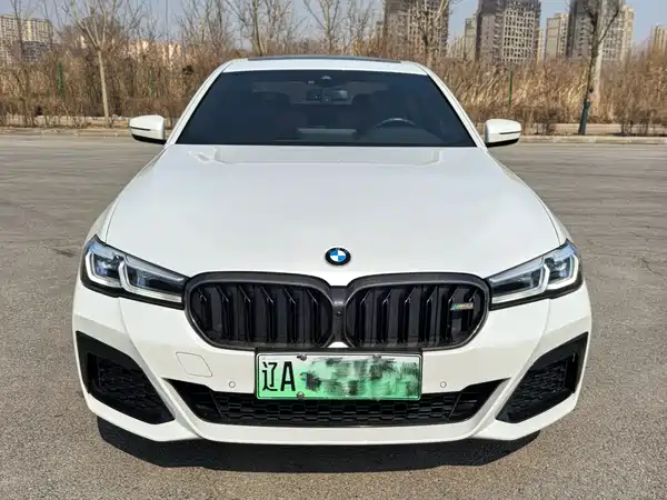 BMW 5 Series New Energy 2021