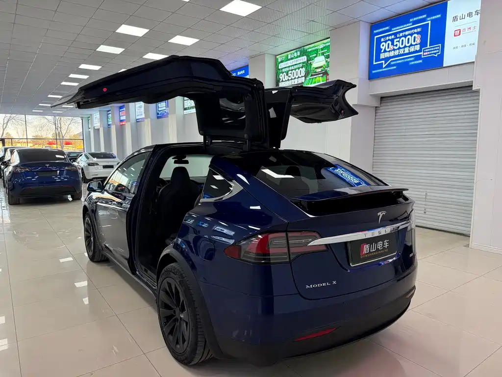 Tesla Model X 2019 — фото 4