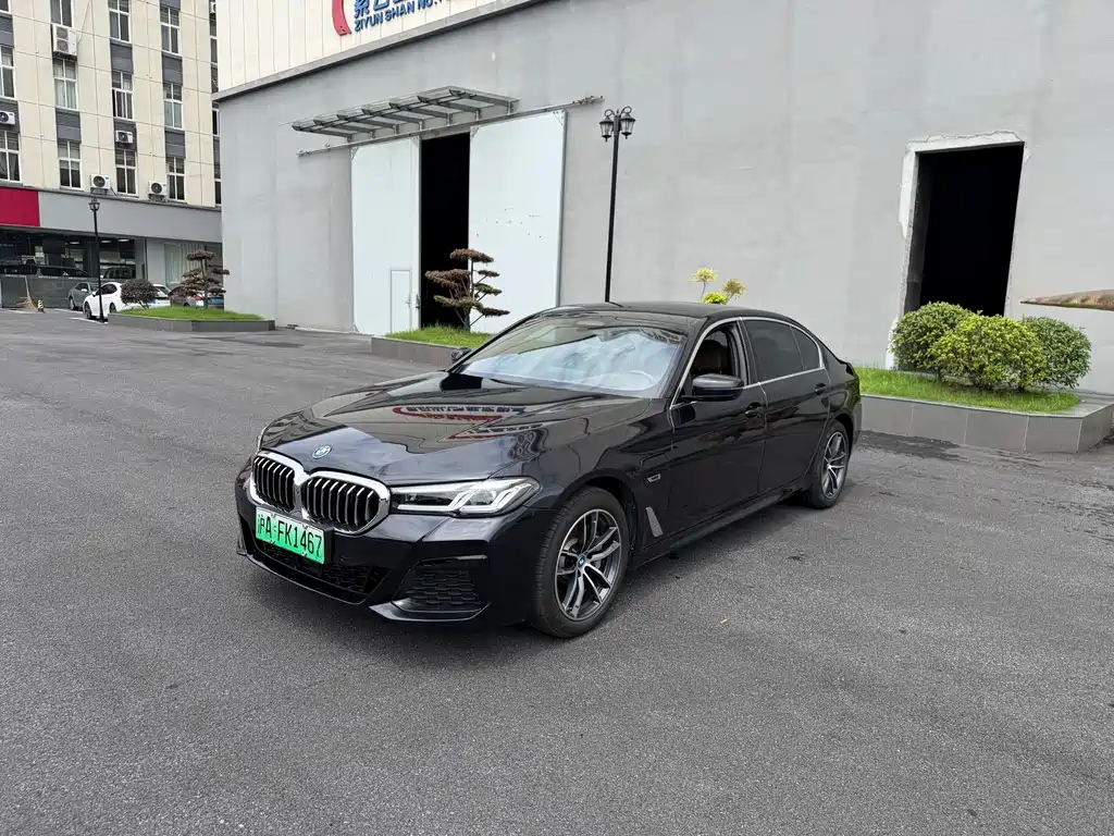 BMW 5 Series New Energy 2022