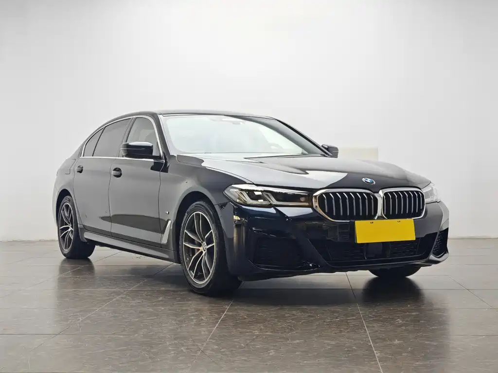 BMW 5 Series New Energy 2021 — фото 2