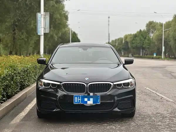 BMW 5 Series 2019