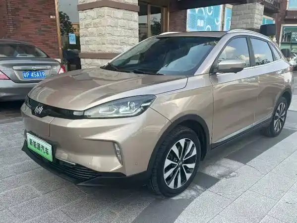 WM Motor EX5 2019
