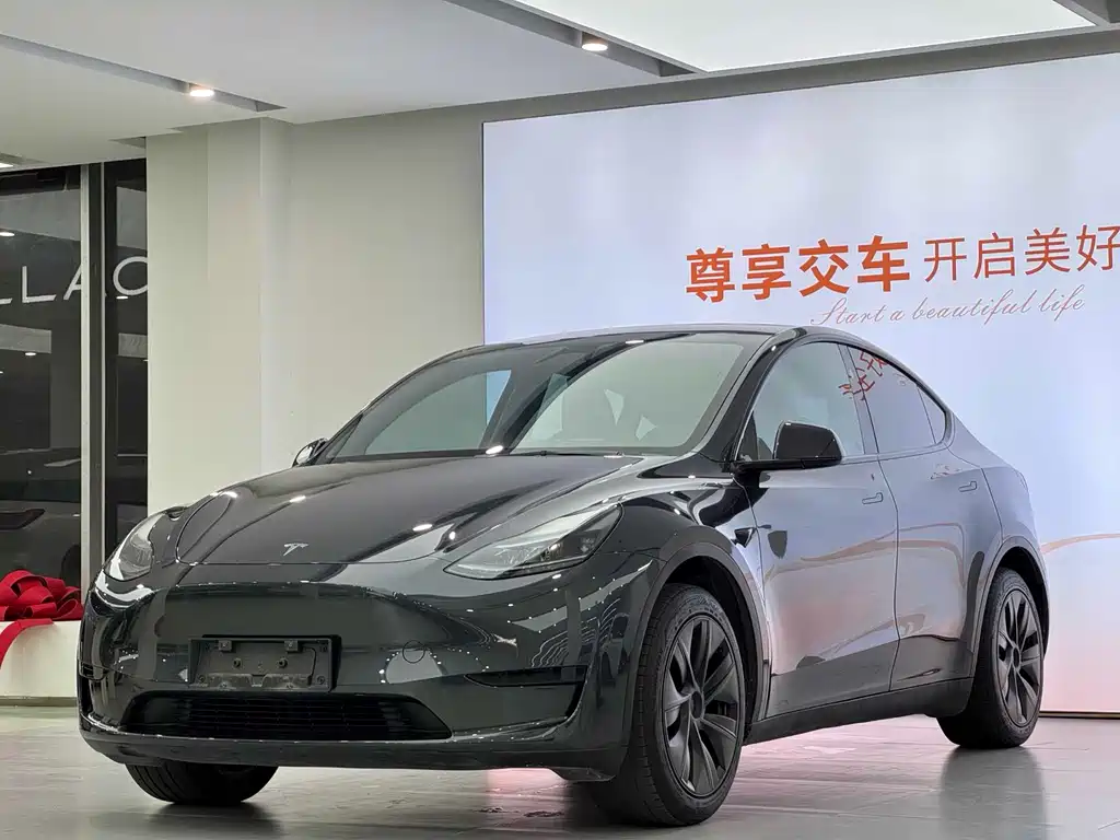 Tesla Model Y 2024 — фото 1