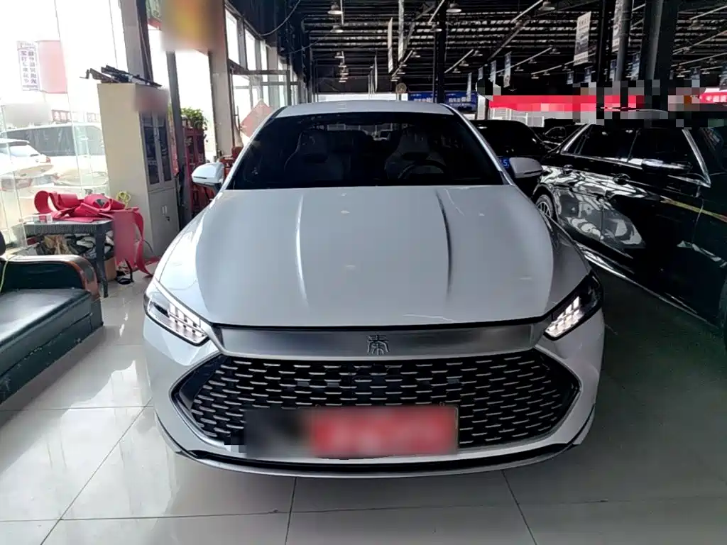 BYD Qin PLUS 2023 — фото 3