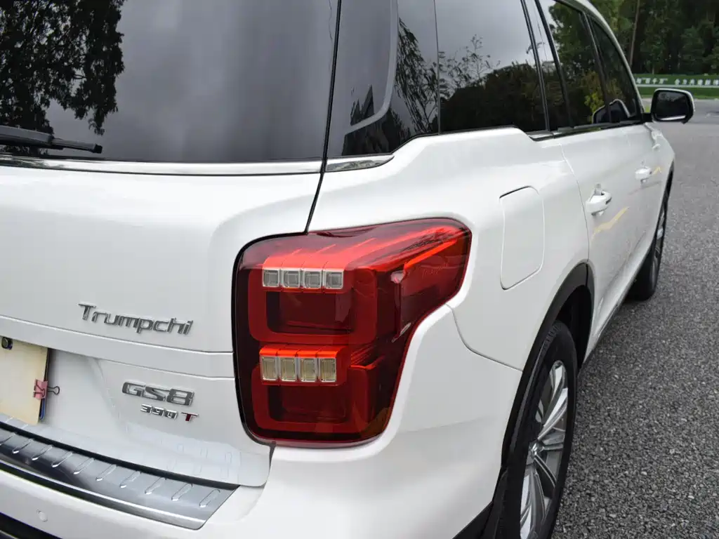 GAC Motor Trumpchi GS8 2020 — фото 10