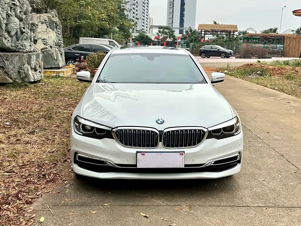 BMW 5 Series 2019 — фото 2