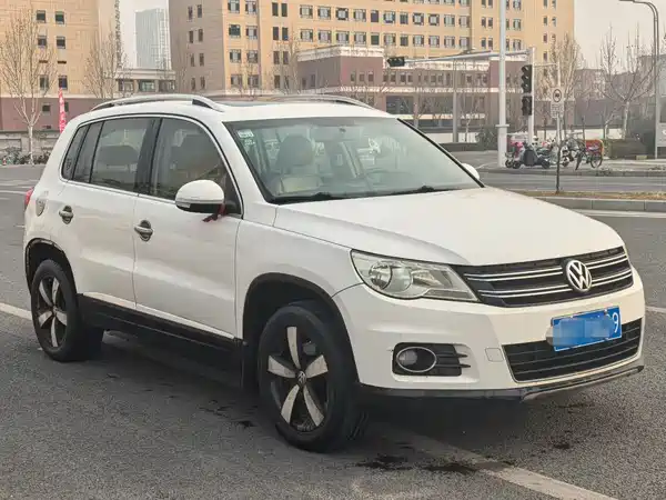 Volkswagen Tiguan 2010