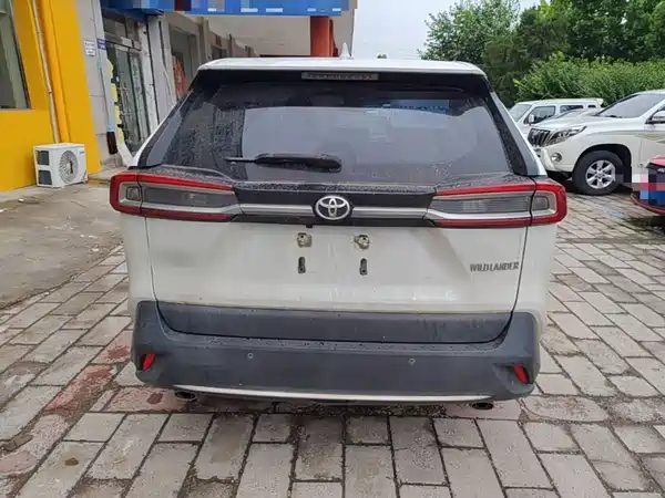 Toyota Wildlander 2020