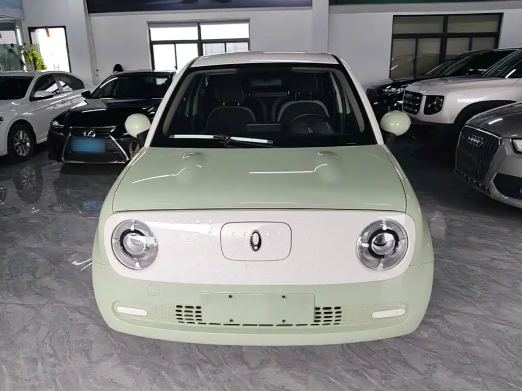 Ora Black Cat 2022
