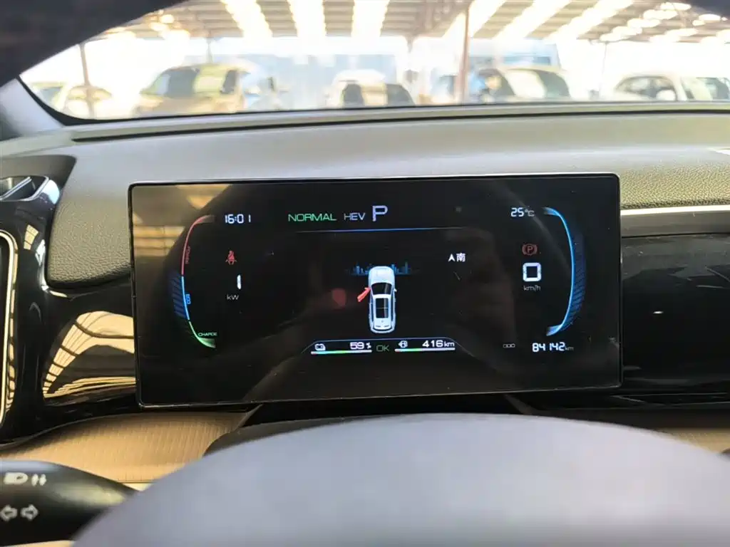 BYD Pro New Energy 2024 — фото 12