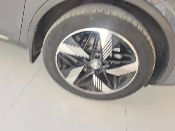 BYD Tang New Energy 2024