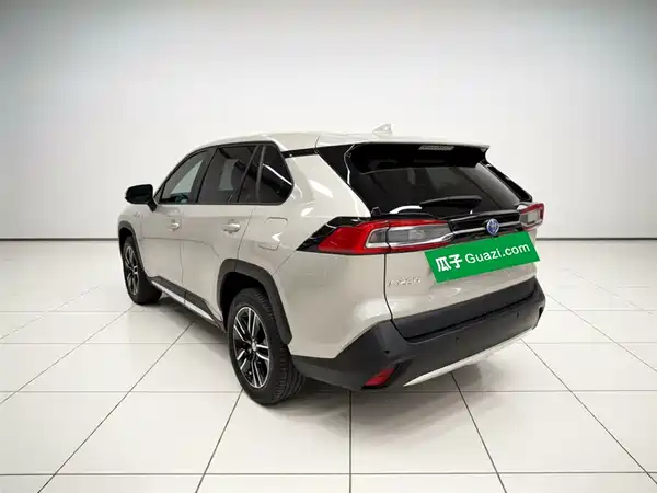 Toyota Weilanda New Energy 2021