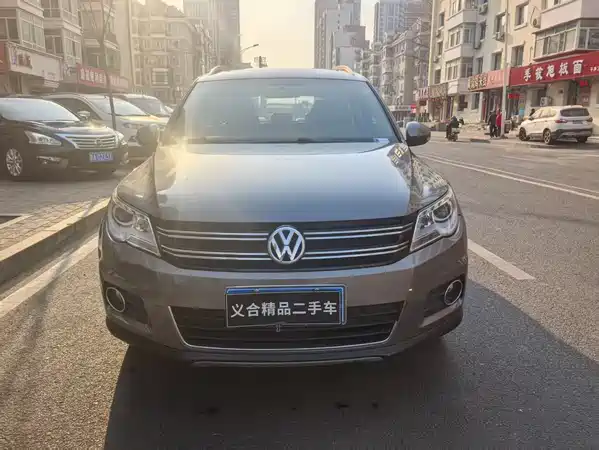 Volkswagen Tiguan 2010